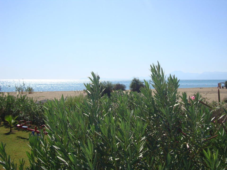 Strand Crystal Paraiso Aqua Collection