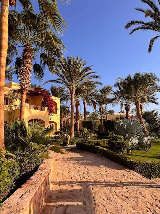 Gartenanlage Steigenberger Coraya Beach - Adults only