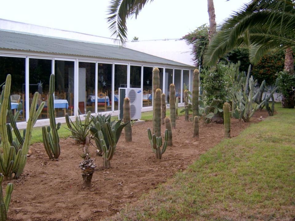 Garten Sahara Beach Aquapark & Resort