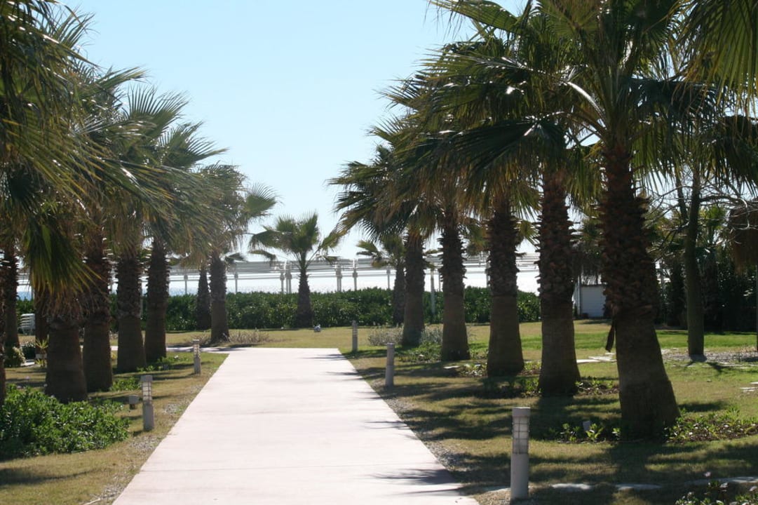 Garten Saturn Palace Resort Hotel