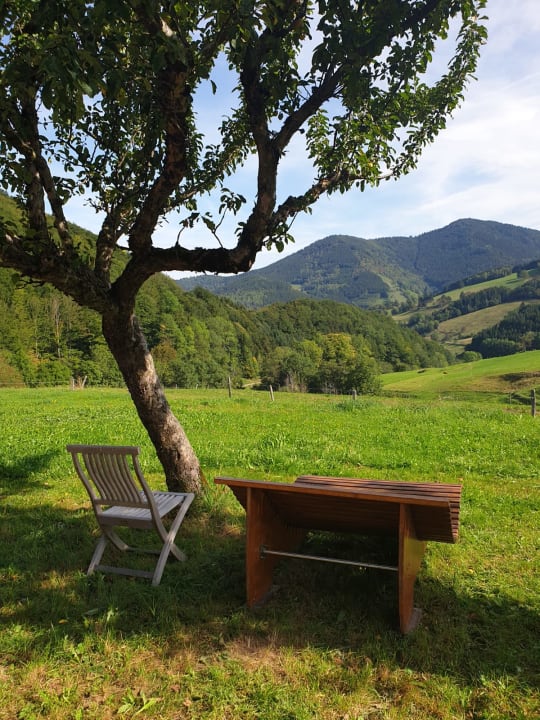 Gartenanlage Bauernhof Bernhardenhof