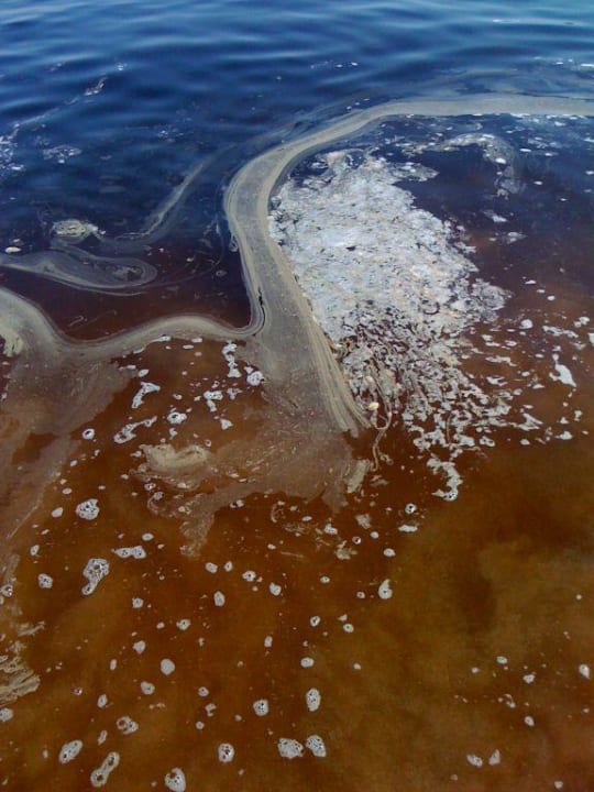 Badeparadies Fujairah Miramar Al Aqah Beach Resort