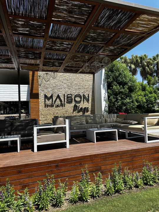 Gastro Acanthus Cennet Barut Collection