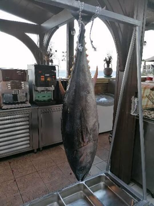 Gastro Hotel Kalithea Horizon Royal