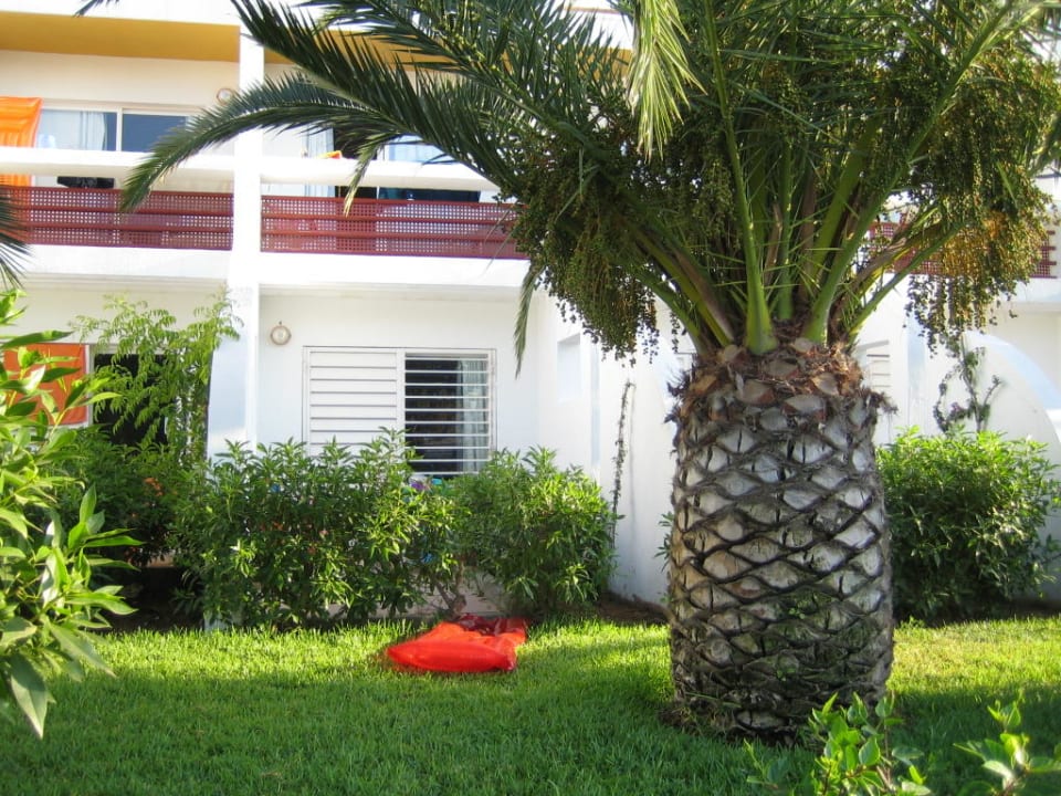Familienzimmer Parterre mit Terrasse (Zimmer 1032) Grand Palladium White Island Resort & Spa