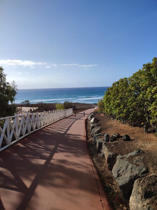 Gartenanlage Iberostar Waves Gaviotas Park