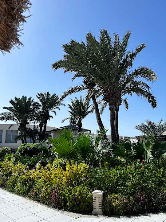 Gartenanlage Djerba Sun Beach Hotel & Spa