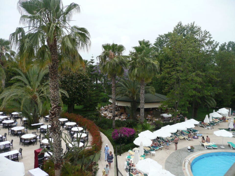 Widok z pokoju standard budynek  główny ,,park" Botanik Hotel & Resort