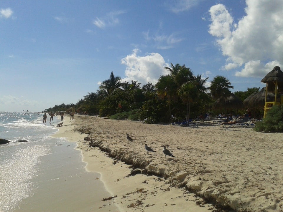 Plaża Platinum Yucatan Princess All Suites & Spa Resort - Adults only