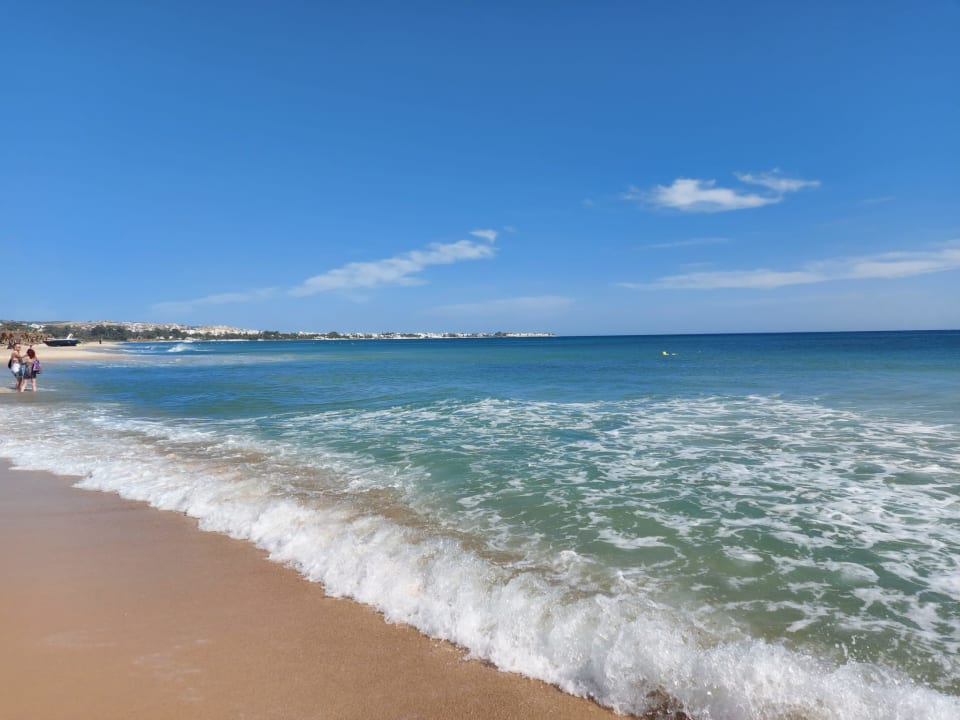 Strand Sentido Phenicia