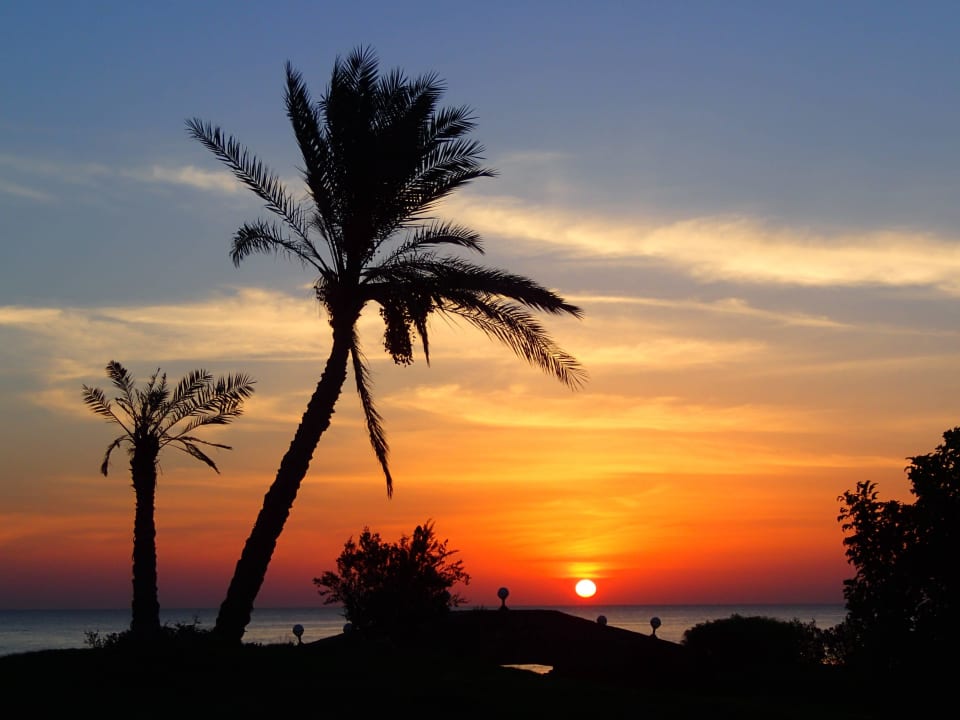 Sonnenaufgang - Zimmer 1101 Three Corners Equinox Beach Resort