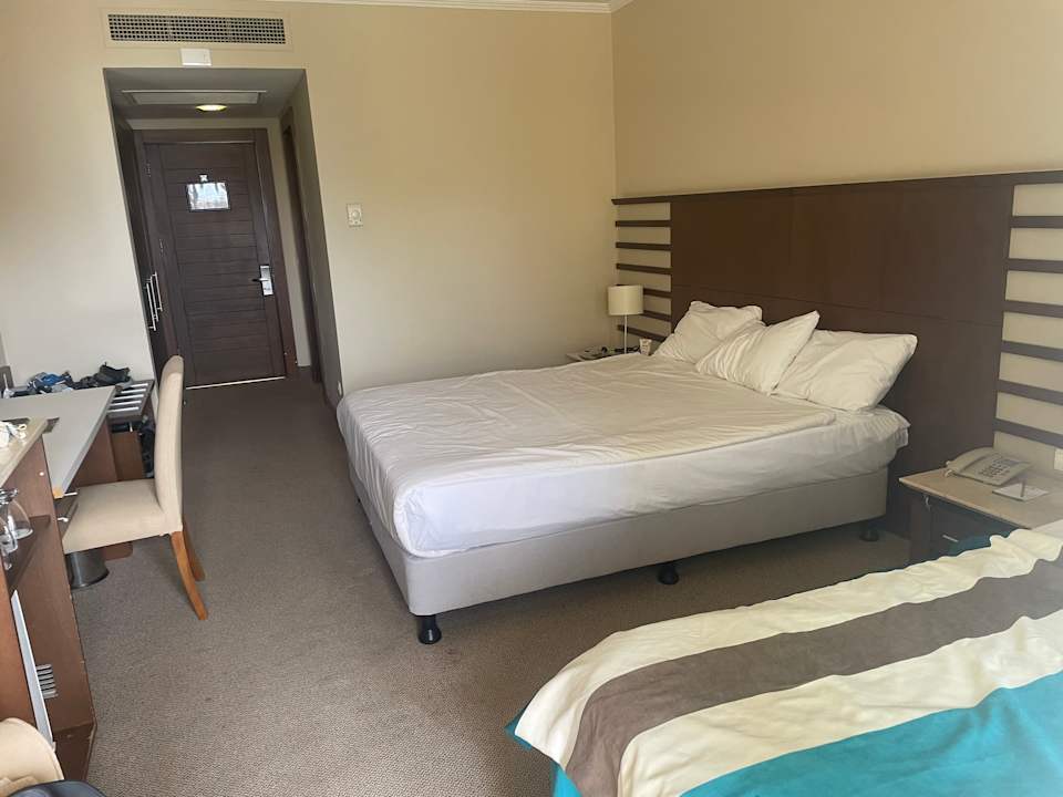 Zimmer Green Max Hotel