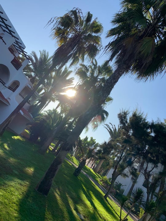 Gartenanlage Hotel Riu Tikida Dunas