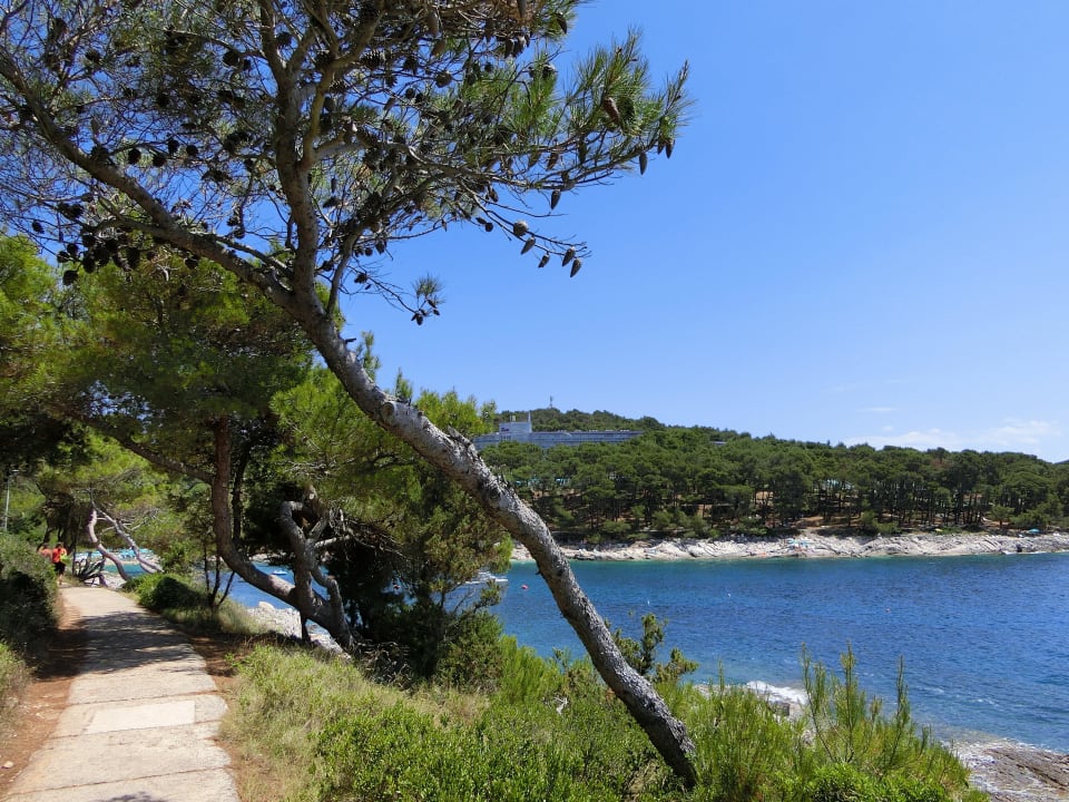 Ausblick Hotel Aurora