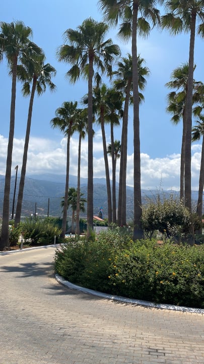 Gartenanlage allsun Hotel Carolina Mare