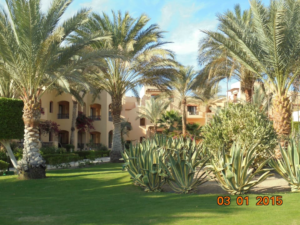 Sehr gepflegt Steigenberger Coraya Beach - Adults only