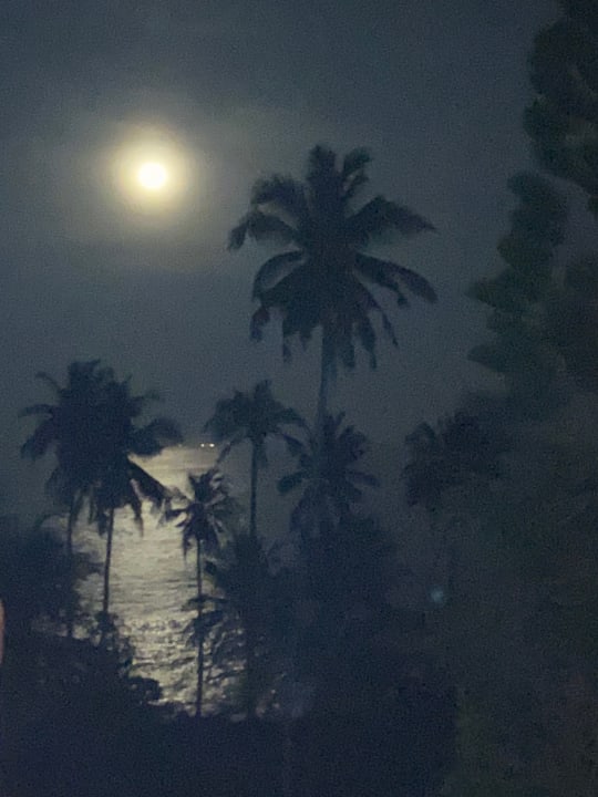 Ausblick Villa Lucky Star