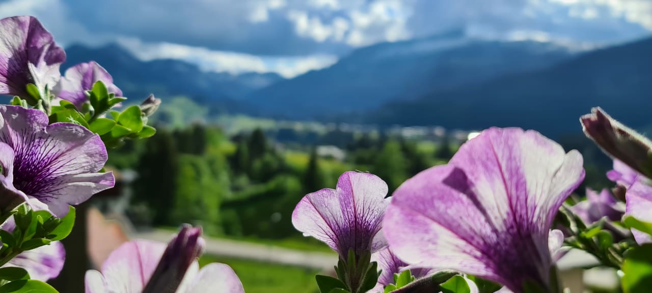 Ausblick Gästehaus Margit Ott