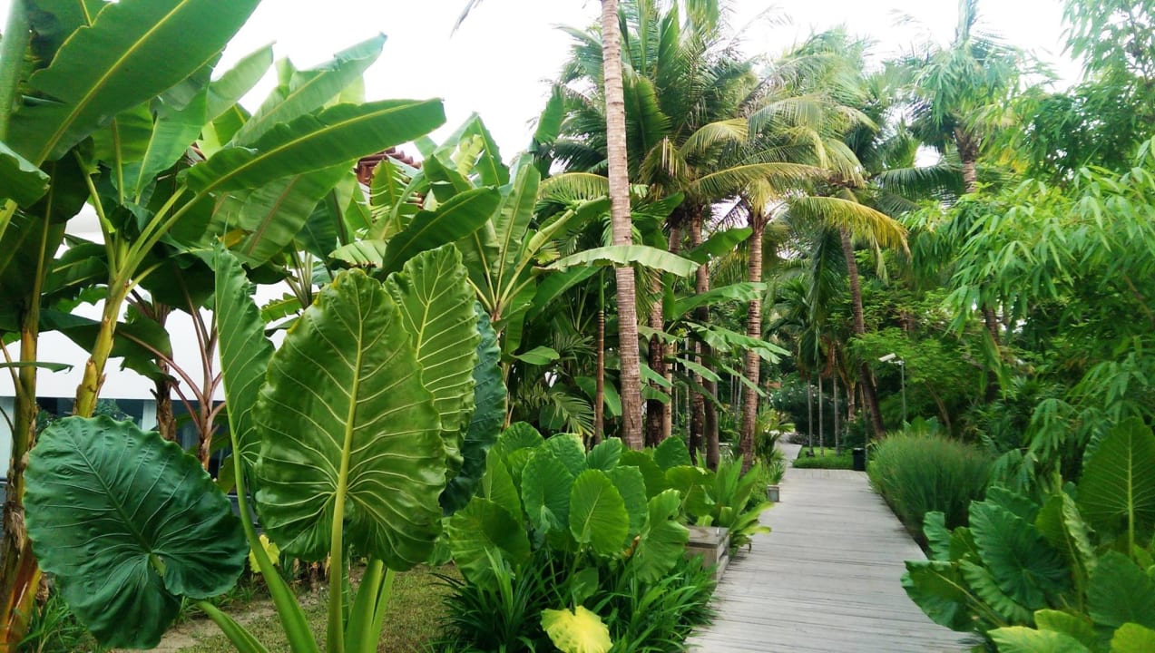 Gartenanlage Hilton Ngapali Resort & Spa