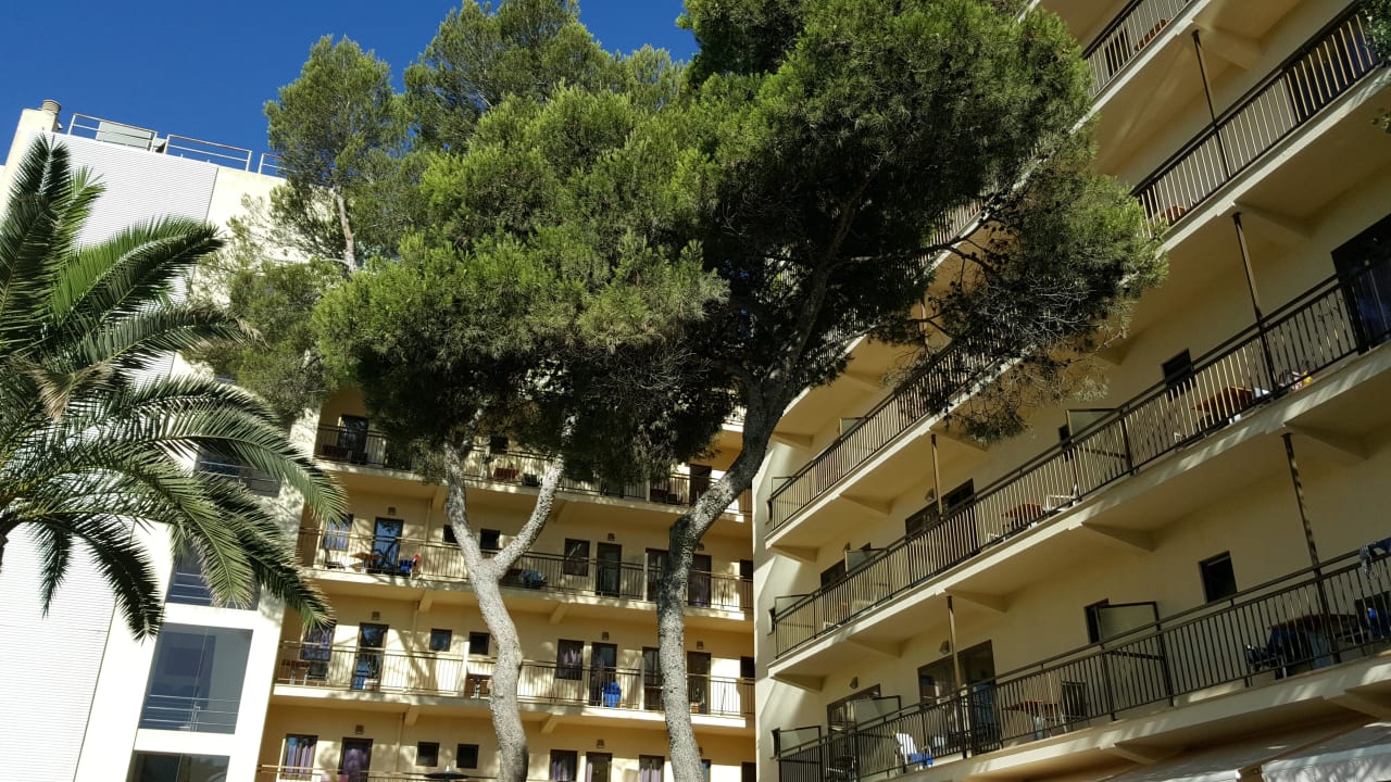 Innenhof / Pool AYA Seahotel - Adults only