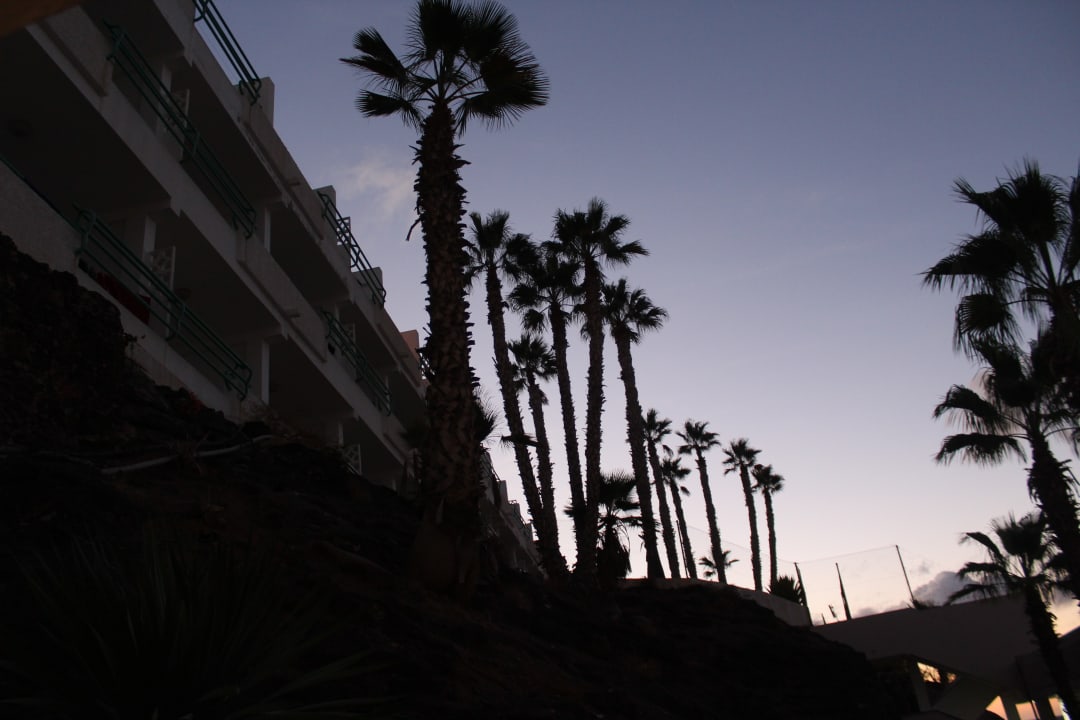 Gartenanlage Servatur Alameda de Jandía