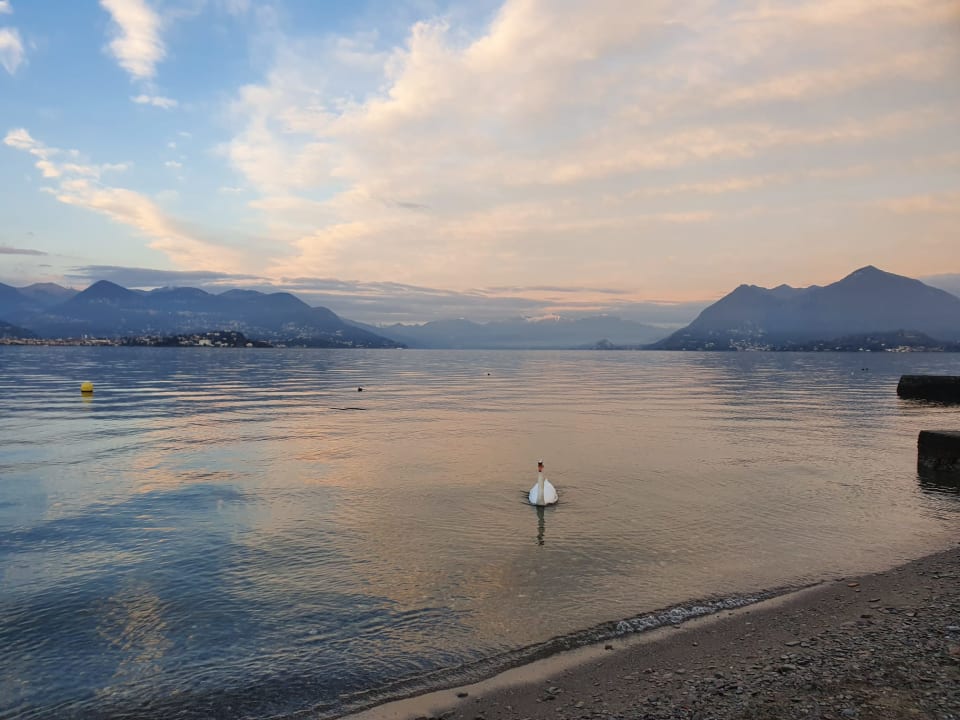 Ausblick Hotel Regina Palace