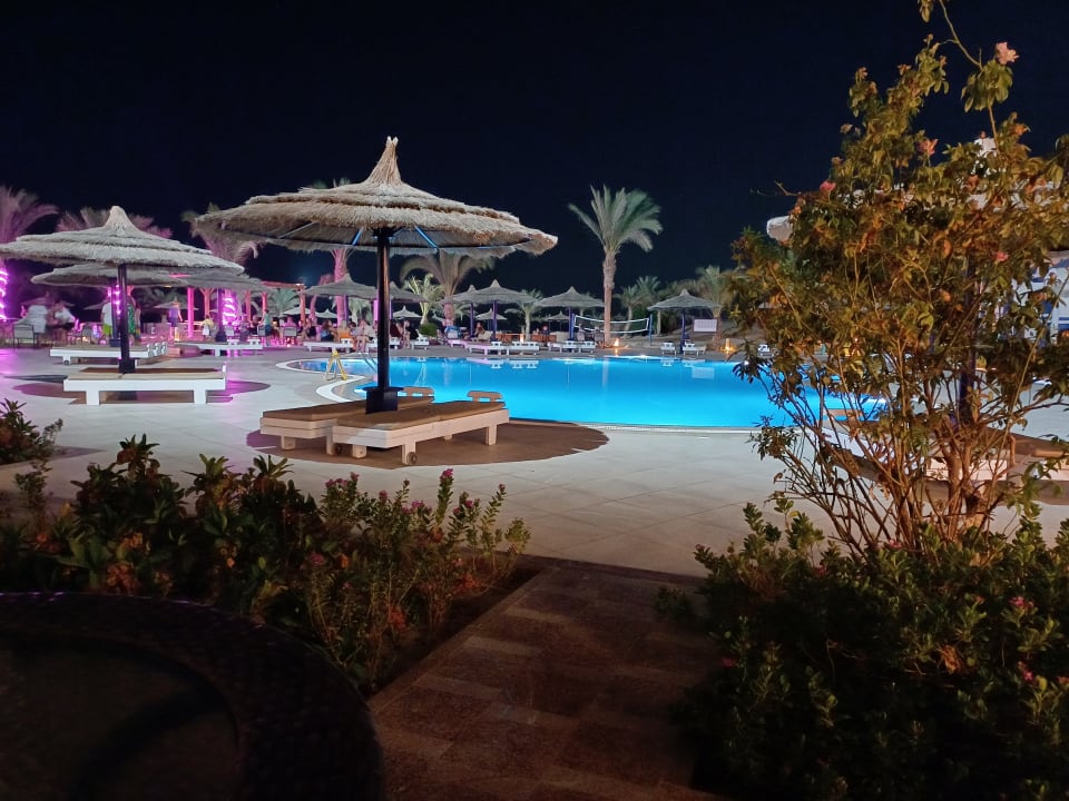 Pool Coral Sun Beach