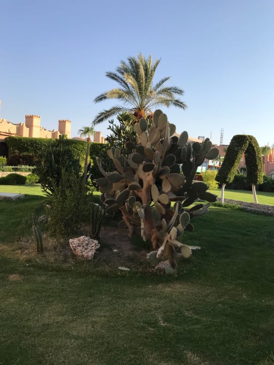 Gartenanlage Sentido Akassia Beach