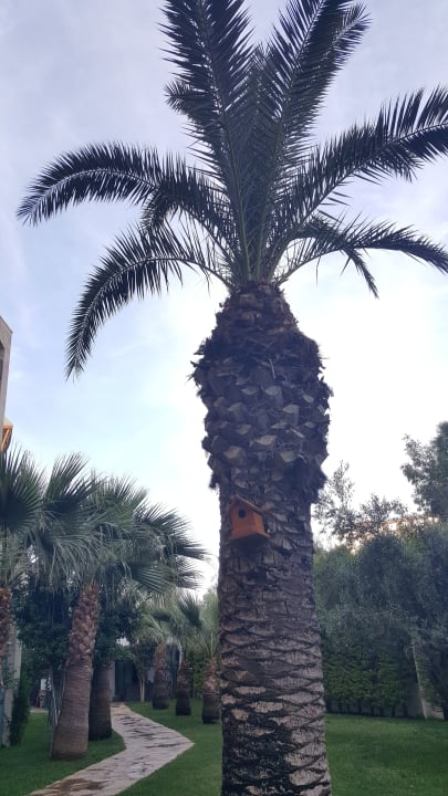 Gartenanlage Melas Lara Hotel