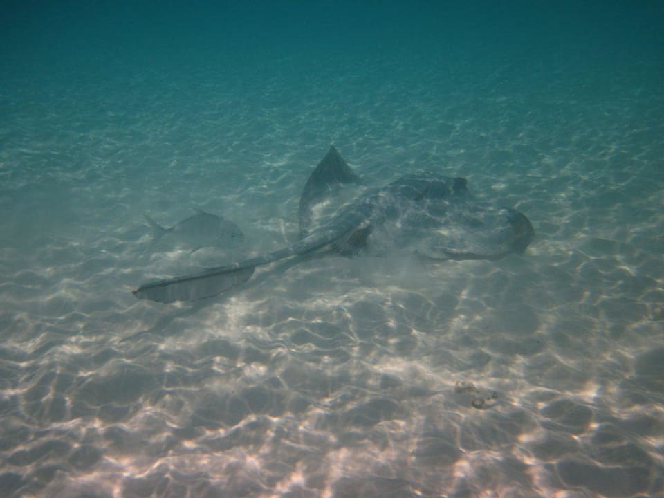 Rochen Thulhagiri Island Resort