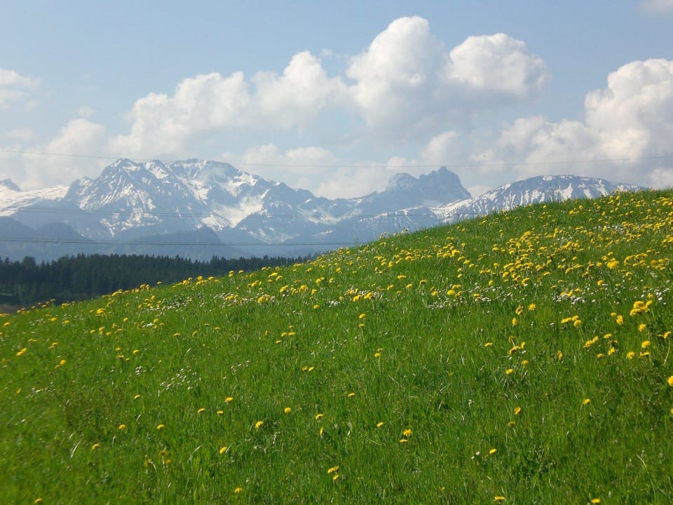 Das schöne Allgäu Landhotel Seeg