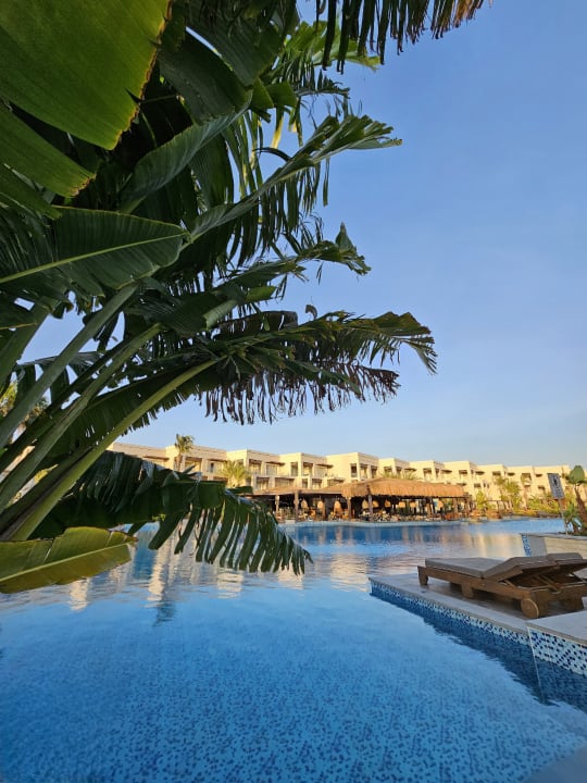 Pool Steigenberger Resort Ras Soma