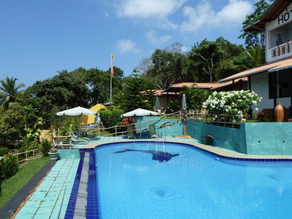 Pool Hotel Panorama