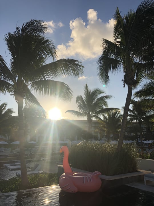 Pool Unico 20°87° Hotel Riviera Maya