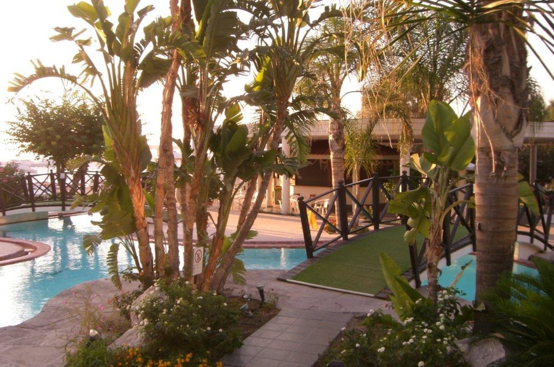 Blick auf Poolbar Hotel Calypso Beach