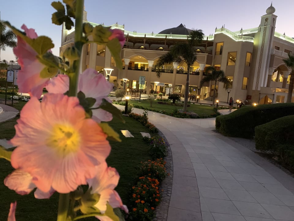 Außenansicht Jasmine Palace Resort & Spa