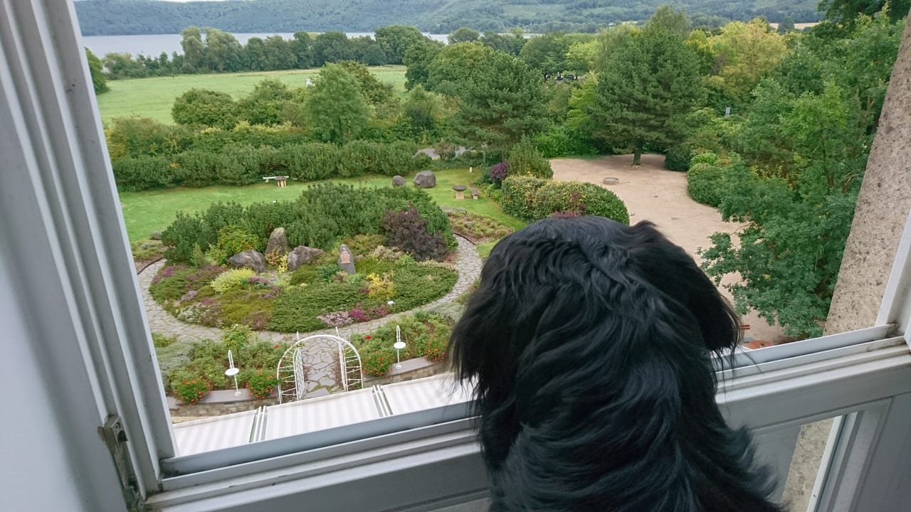 Ausblick Seehotel Maria Laach