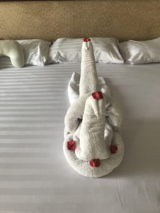 Zimmer Premier Le Reve Hotel & Spa