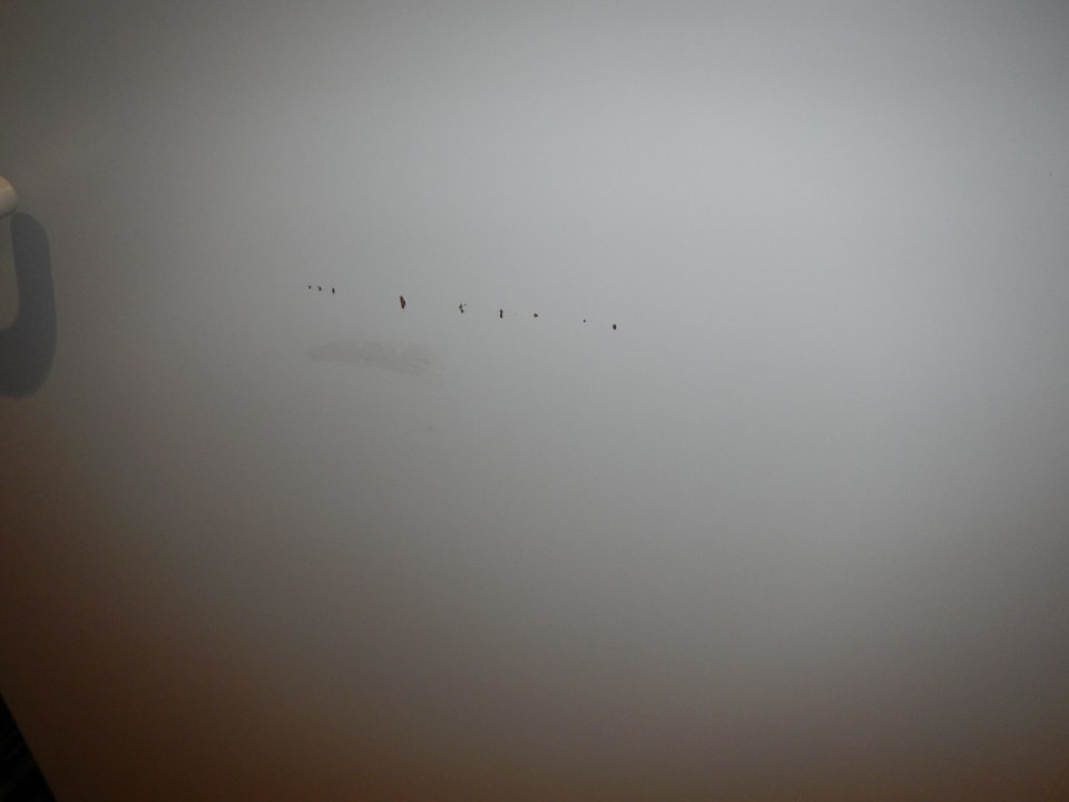 Zimmerwände Park Inn by Radisson Nürnberg