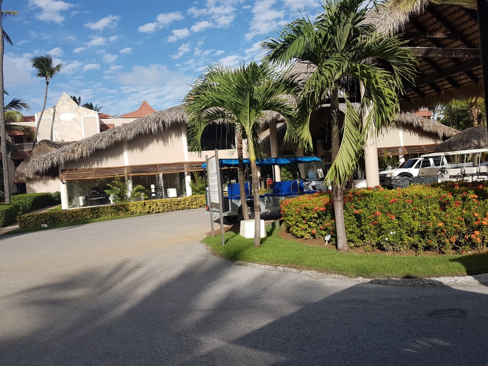 Lobby TRS Turquesa Hotel - Adults only