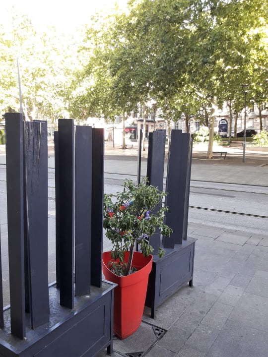 Ausblick Hotel Stanley by HappyCulture