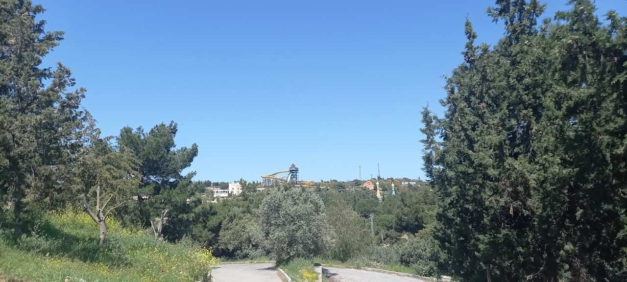 Ausblick Hotel Pine Bay Holiday Resort