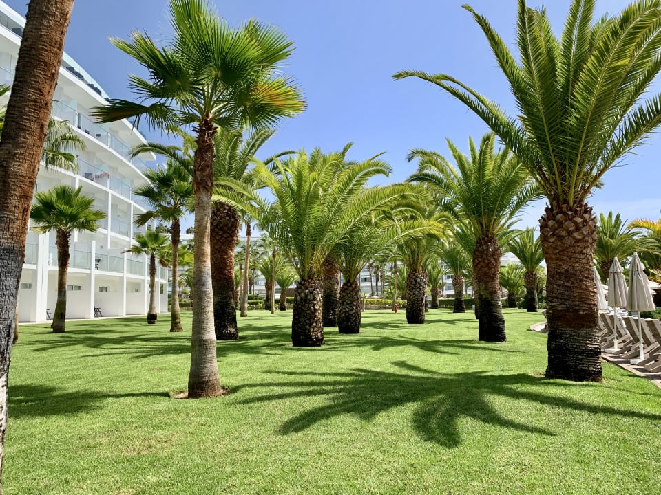 Gartenanlage Hotel Riu Palace Tenerife