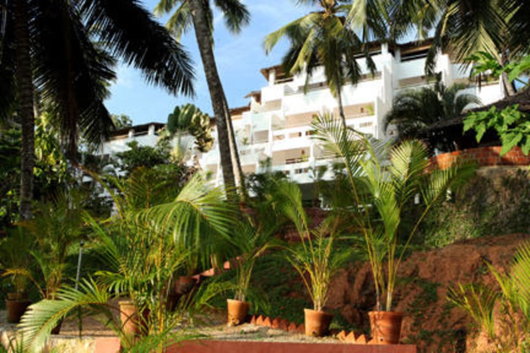 Hotel Soma Palmshore Hotel Soma Palmshore