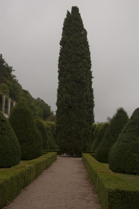 Particolare del parco Hotel Chateau De Rochecotte