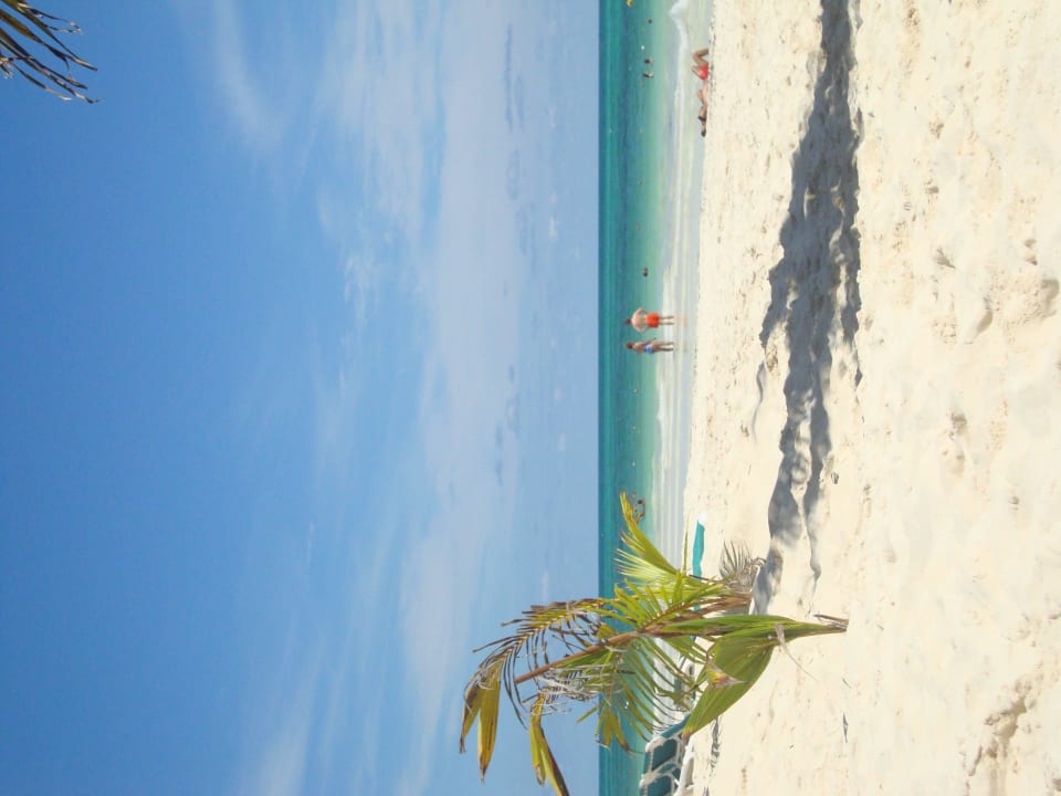 Hotel Catalonia Playa Maroma Catalonia Playa Maroma