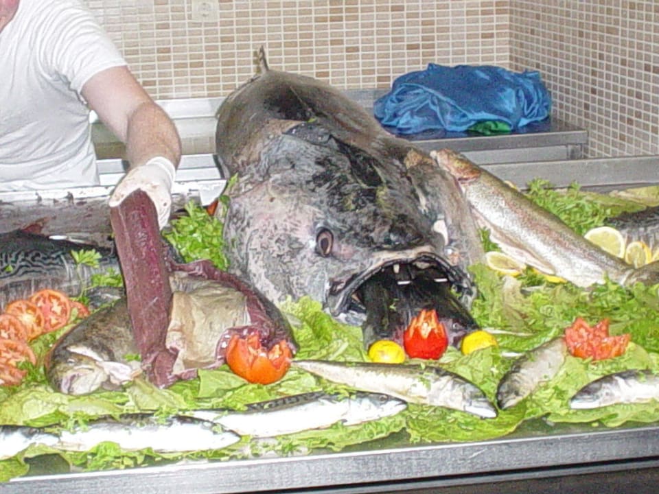 Deko Hotel Süral Resort