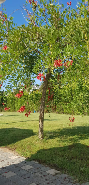 Gartenanlage Dosinia Luxury Resort