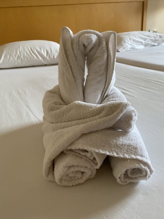 Zimmer Hotel JAZ Makadi Star & Spa