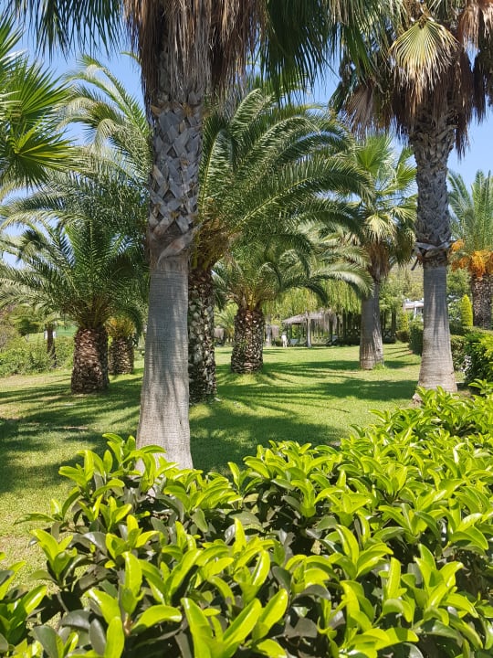 Gartenanlage Green Bay Resort & Spa